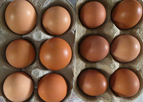 Eggs