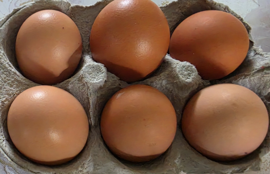 Eggs