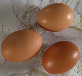 Eggs